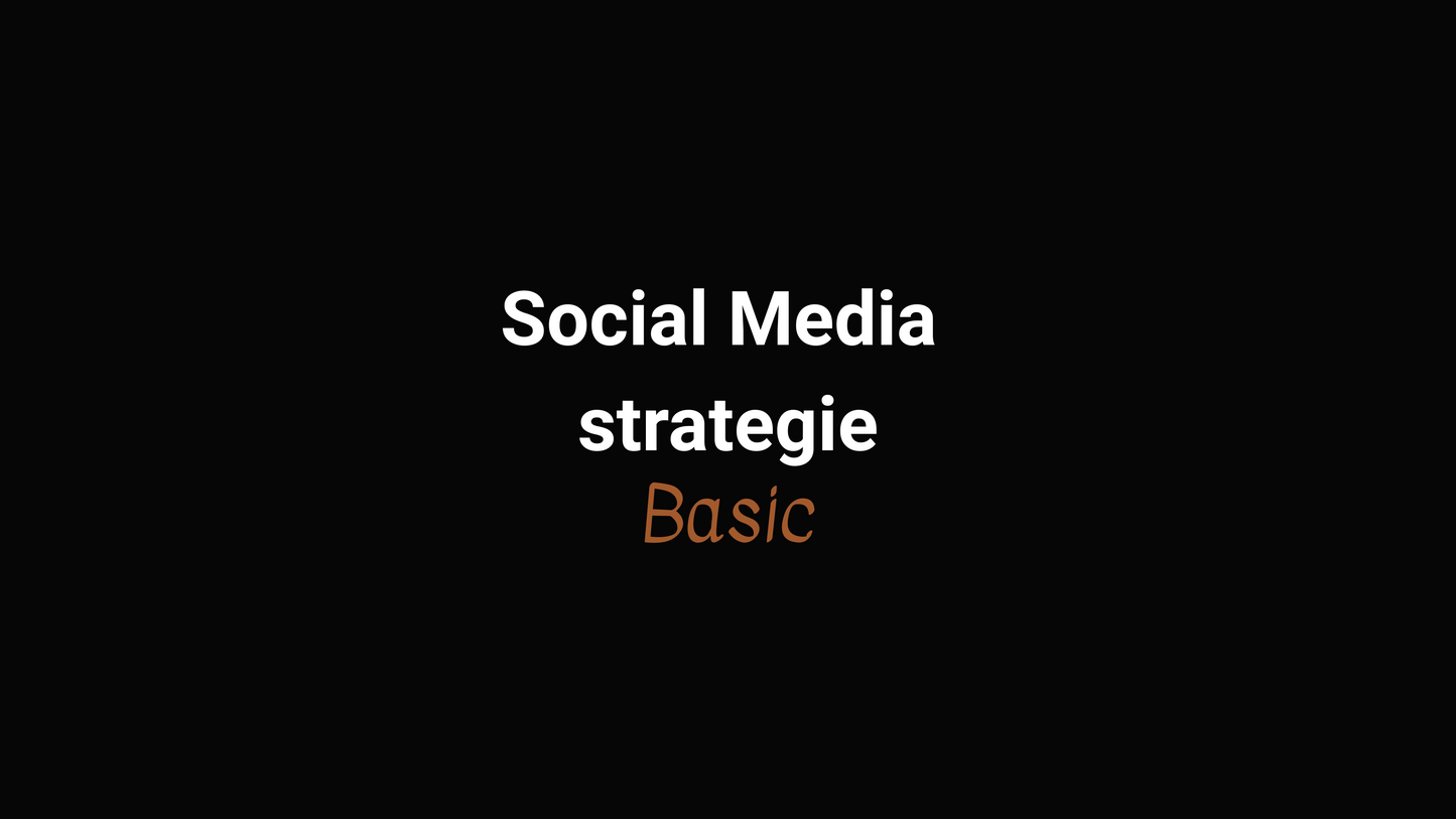 Social Media strategie, Basic